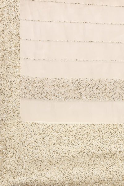 Ivory Silk Organza Embellished Saree - ASSR001
