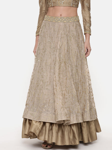 Beige Gold Chanderi Embroidered Lehenga - ASL020