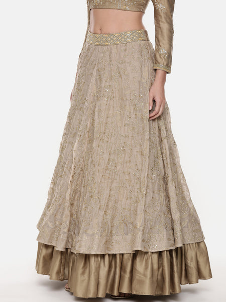 Beige Gold Chanderi Embroidered Lehenga - ASL020