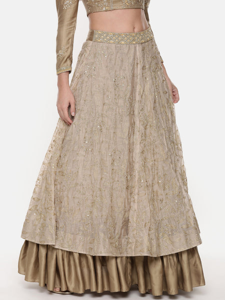 Beige Gold Chanderi Embroidered Lehenga - ASL020