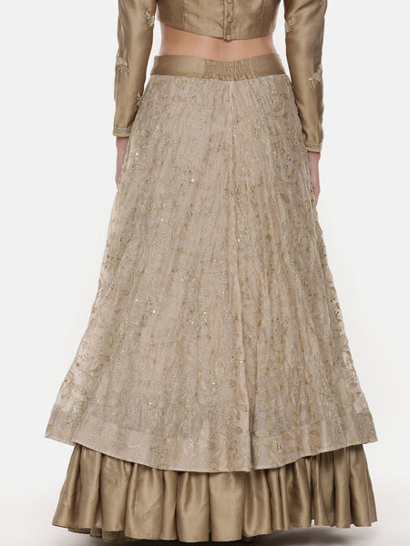 Beige Gold Chanderi Embroidered Lehenga - ASL020