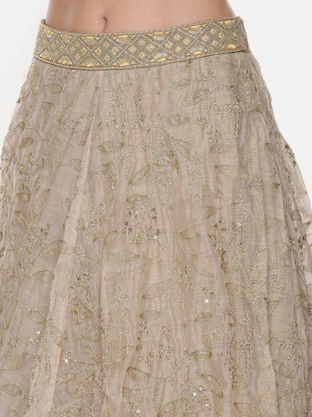 Beige Gold Chanderi Embroidered Lehenga - ASL020